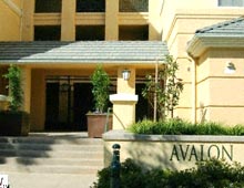 Avalon | Playa Vista