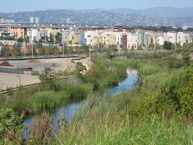 Ballona Wetlands | Playa Vista Living