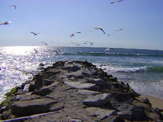 El Segundo real estate, REALTOR �, real estate agent, Playa Vista, Playa del Rey Westchester, beach homes, South Bay home listings, Westside homes, property and land Los Angeles California homes