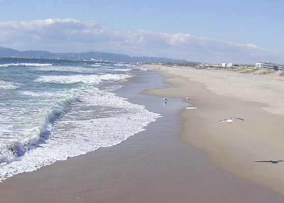 El Segundo real estate, REALTOR �, real estate agent, Playa Vista, Playa del Rey Westchester, beach homes, South Bay home listings, Westside homes, property and land Los Angeles California homes