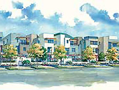 Park Houses | Playa Vista