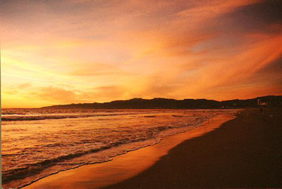 Santa Monica real estate, REALTOR �, real estate agent, Playa Vista, Playa del Rey Westchester, beach homes, South Bay home listings, Westside homes, property and land Los Angeles California homes