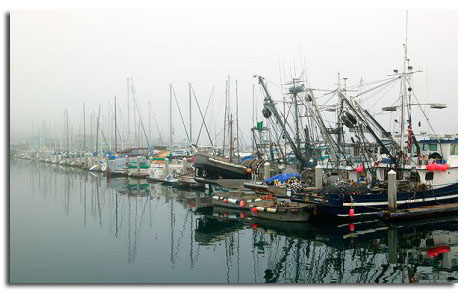Monterey Harbor and Warf
