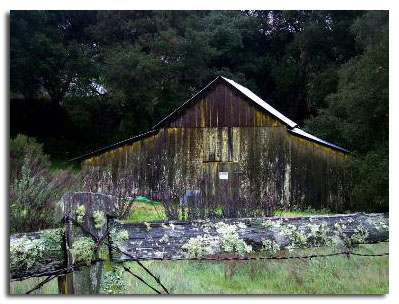 Country living