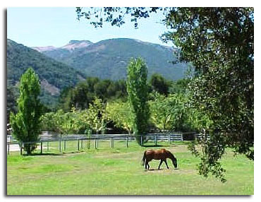 Equestrian country
