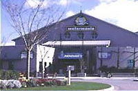 Watermania