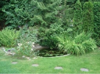 Private Garden in Coquitlam