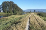 Alouette River