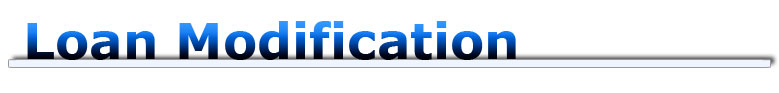 Loan Modification Info