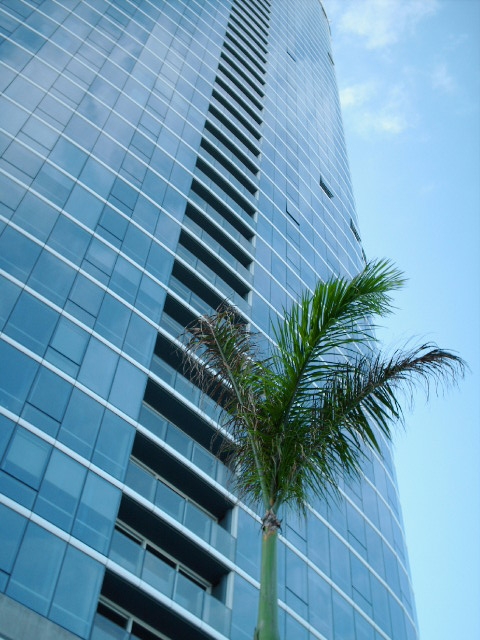 Koolani, the gem of Kaka'ako