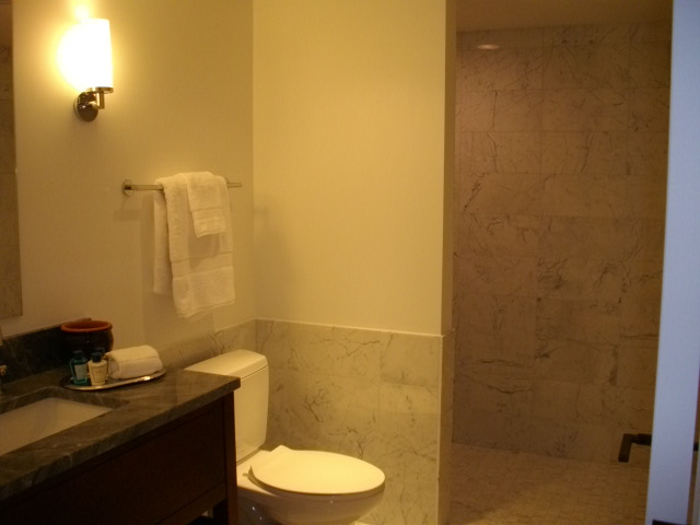 Trump Tower Waikiki model 4