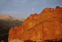 Kissing Camels