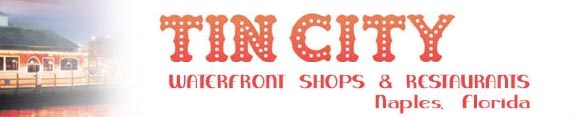 TinCity.com