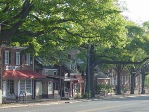 Beautiful Franklin Street
