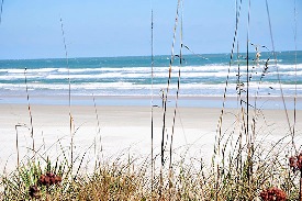 New Smyrna Beach Florida