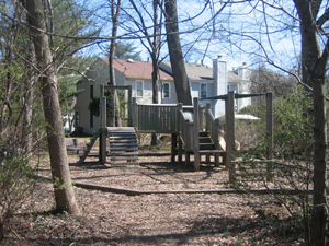 Park-like feel in dumont oaks