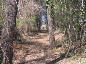 Quiet walking trails