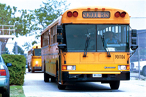 NJ School Information