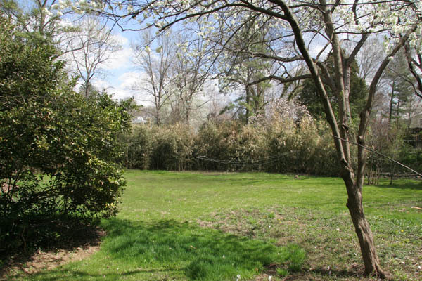 McLean Real estate land sample