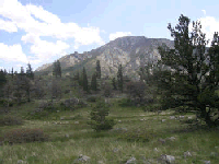 Cathedral Mountain Ranch