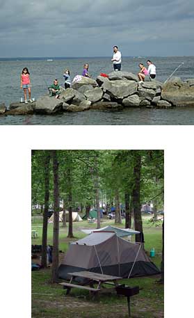 The Great Outdoors