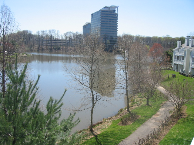 Acorss the lake