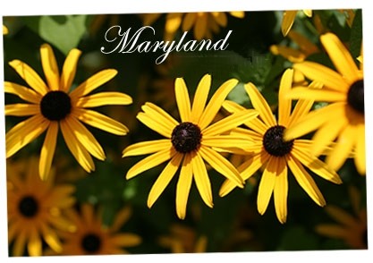 Moving to Maryland