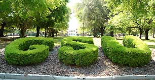 GSU Entrance