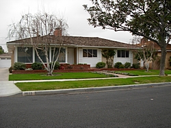 Ridgewood Heights