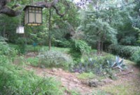 Austin Real Estate Barton Hills
