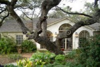 Austin Real Estate Hyde Park