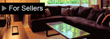 austin texas real estate