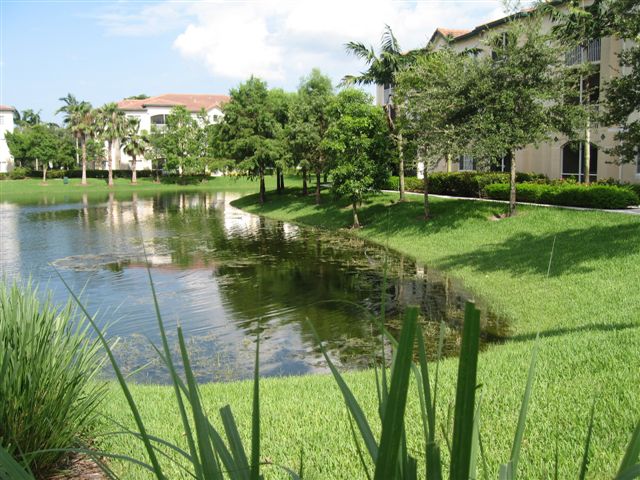 Lake View