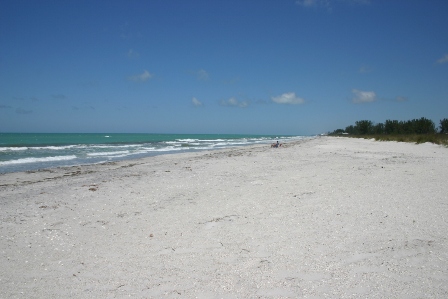 Little Gasparilla Island Beach