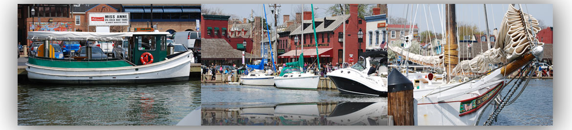 Annapolis Waterfront Homes