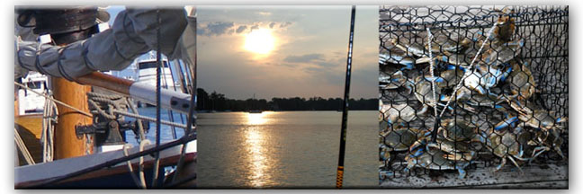 Anne Arundel MD 