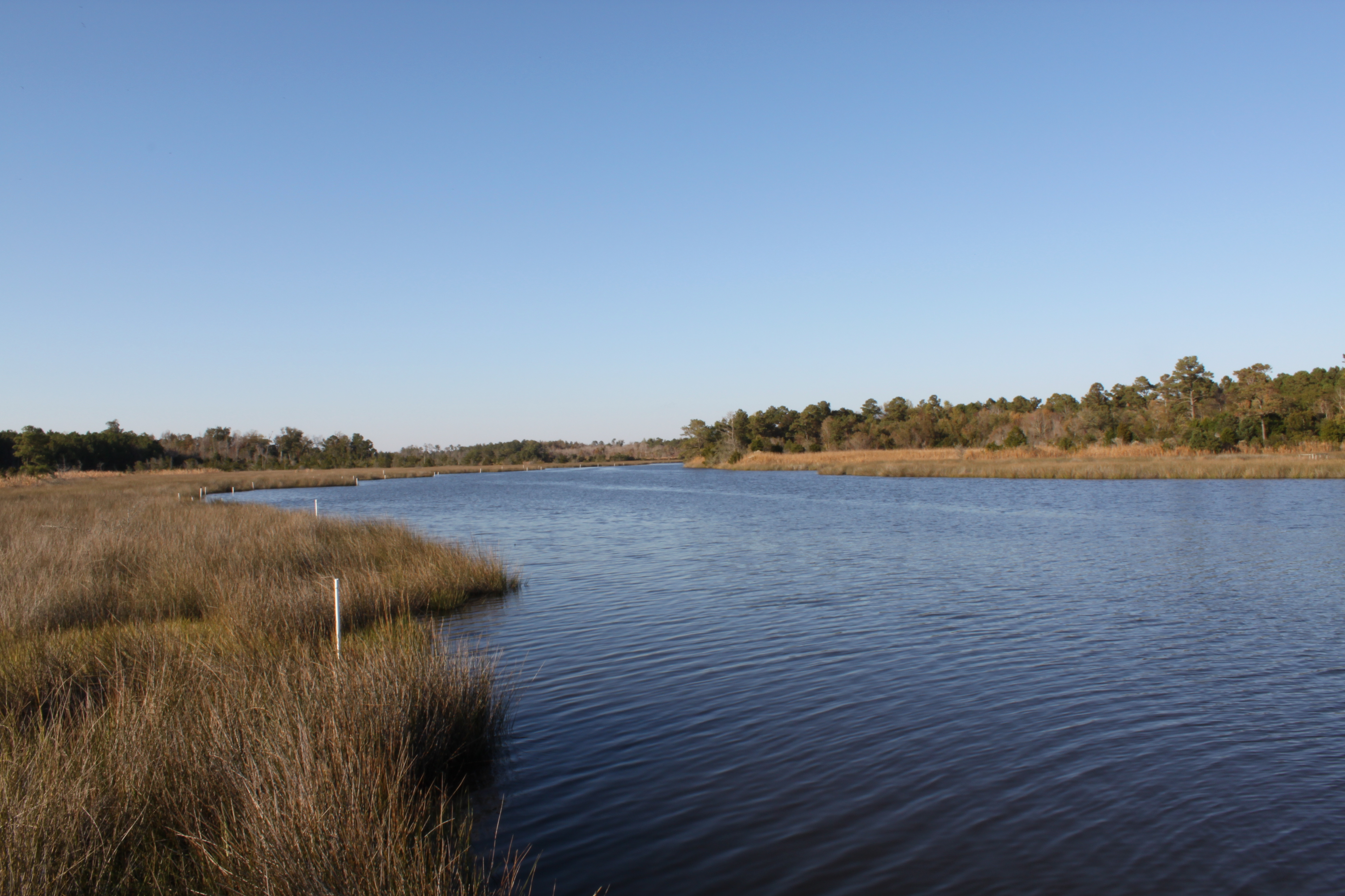 Kings Harbor