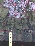 Property.view_aerial no image