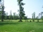 Backyard no image