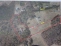 Aerial View no image