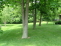 Wooded Yard no image