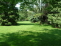 Back Yard no image