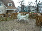 Deck no image