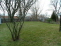 Rear fenced yard no image
