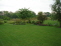 Backyard no image