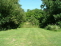 Year yard no image