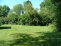 More rear yard no image