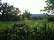 Field 1 no image