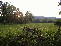 Field 3 no image