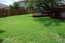 Backyard no image